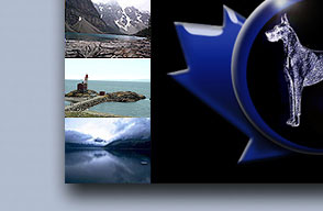 The Great Dane Club of Canada