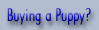 Puppy Information
